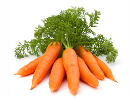 Carrot (காரட்)