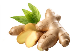 Ginger (இஞ்சி)
