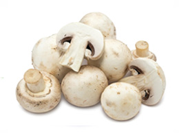Mushroom (காளான்)