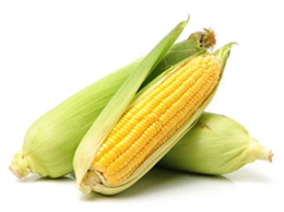 Corn (மக்காச்சோளம்)
