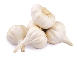 Garlic (பூண்டு)