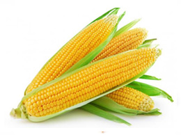 Sweet Corn (இனிப்பு சோளம்)