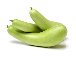 Bottle Gourd (சுரைக்காய்)