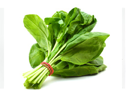 Spinach (பாலக் கீரை)