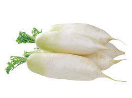 Radish (முள்ளங்கி)