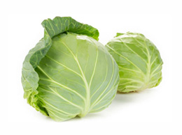 Cabbage(முட்டைக்கோசு )