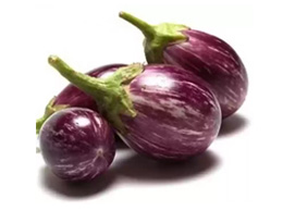 Brinjal (கத்திரிக்காய்)