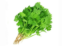 Coriander Leaves (கொத்தமல்லி)