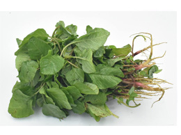 Spleen Amaranth (அரை கீரை)